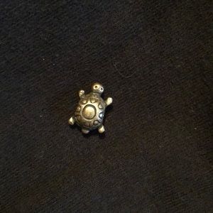 Turtle pandora charm